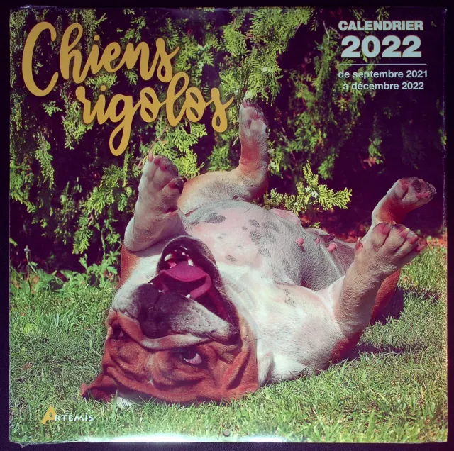 Calendrier 2022 Chiens Rigolos - Neuf !