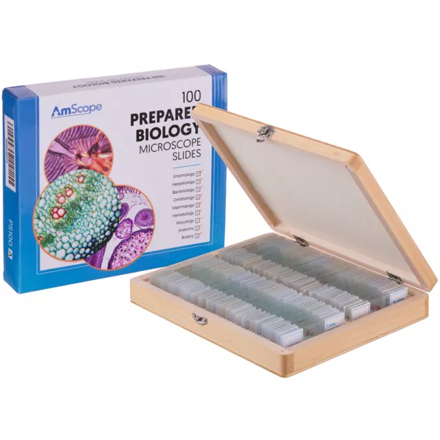 AmScope 100pc Preparé Verre Microscope Diapositives Usine, Fungus, Insects+Bois