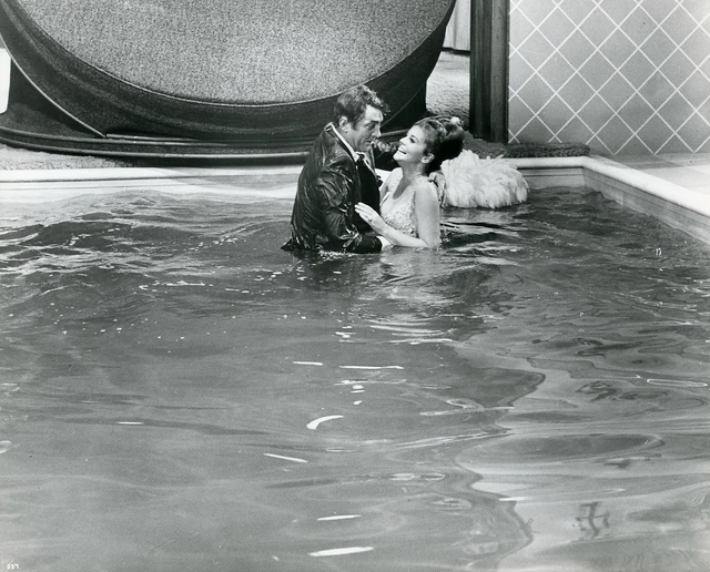 Murderer S Row Ann Margret Dean Martin Actresses vrogue.co