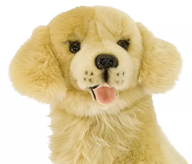 ~❤️BOCCHETTA Golden Retriever GOLDIE Large 35cms 14" plush soft toy Dog BNWT❤️