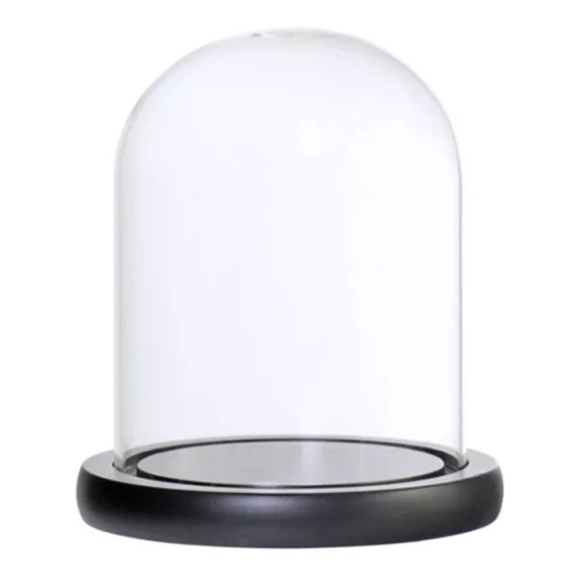 Glass Display Dome Cloche Bell Jar With Wooden Base for DIY Decor_Black C