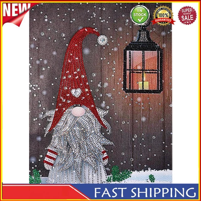 Special Shaped Ornaments DIY Love Heart Gnome Kit Part Drill 5D Diamond Painting