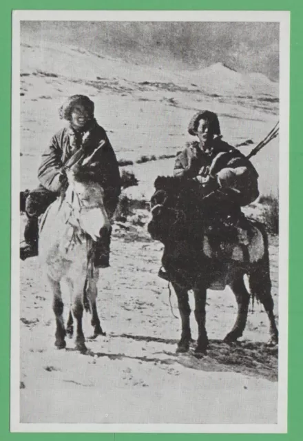 Tibet - 8 Mint Post Cards Printed By Tibetan Youth Congress -