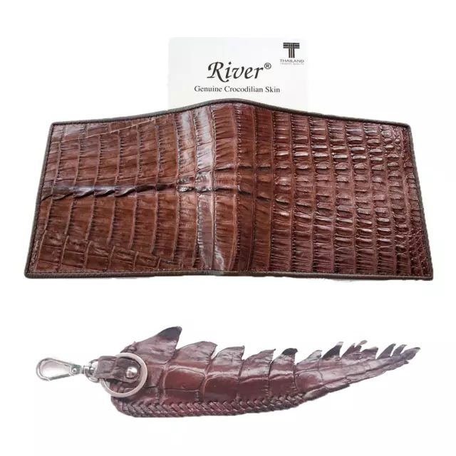 Genuine Real Tail Alligator Crocodile Skin Leather Man Bifold Dark Brown Wallet
