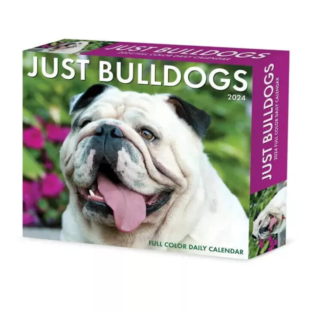 Willow Creek Bulldogs 2024 6.2" x 5.4" Box Calendar w