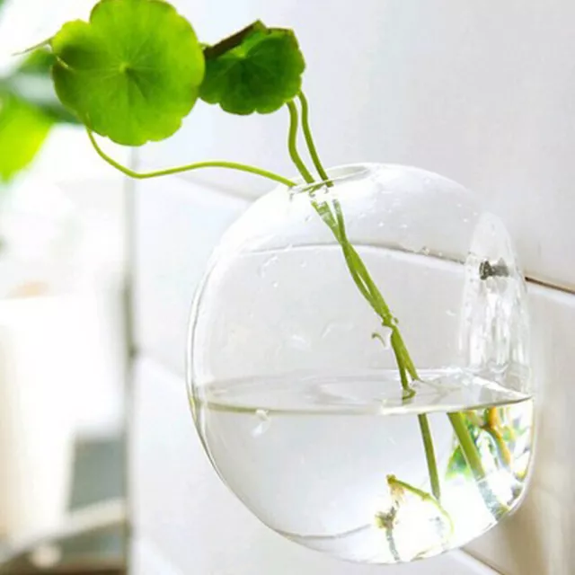 4 x Wandbehang Pflanzgefäße Glas Blumentopf Luft Pflanze Terrarium Wasser