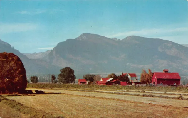 Missoula MT Montana Bitter Root Valley Farm Homestead Red Barn Vtg Postcard S6
