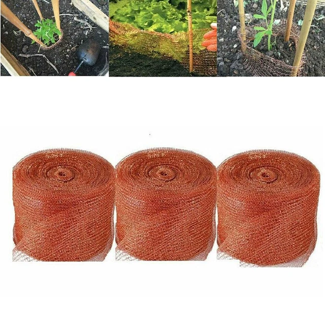 Barrière efficace contre les oiseaux et les insectes en maille de cuivre pure 3