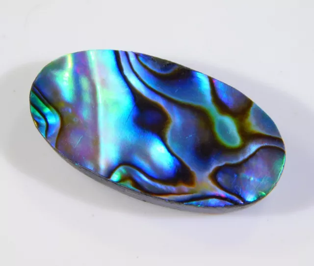 24 CT Superbe Naturel Arc-en-Ciel Feu Abalone Coque Ovale Cabochon Gemme Ci = 50