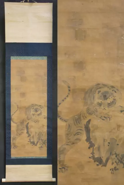 Antique Nekotora tiger scroll Sumi-e painting art 1700s Japan Kano scroll