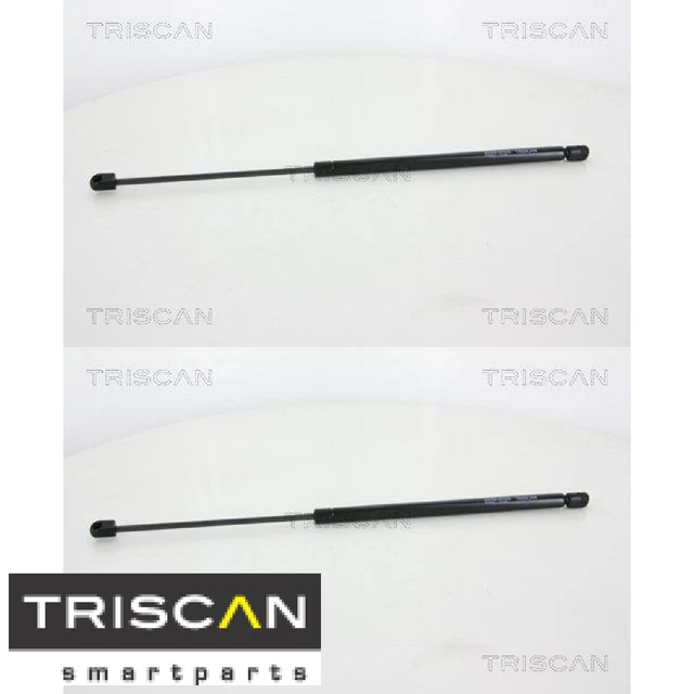 2 molle a gas per bagagliaio/carico triscan 871028242 copriferro a gas