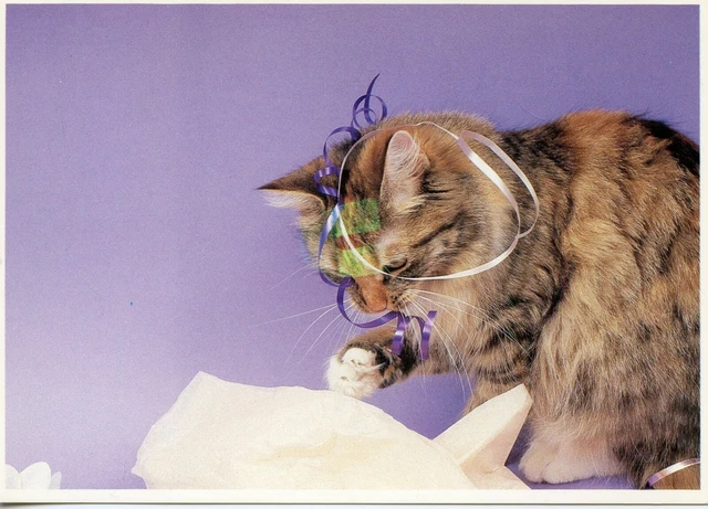 Cpsm / Carte Postale / Chat / Cat / Illustrateur // Nance S. Trueworthy