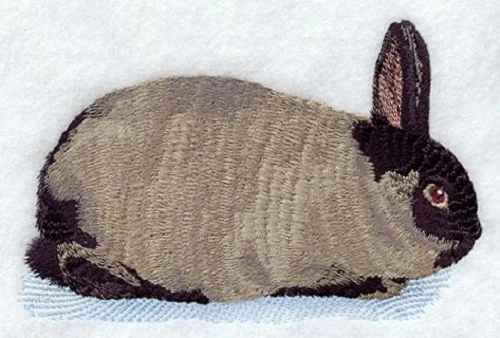 Embroidered Long-Sleeved T-Shirt - American Sable Rabbit M1754 Sizes S - XXL