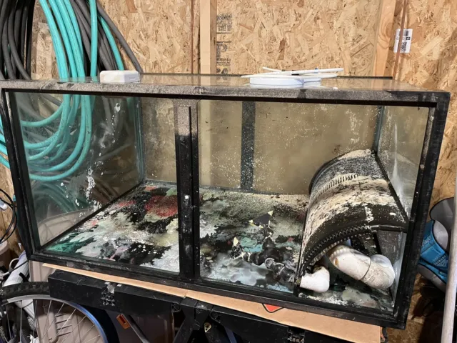 fish tank with lots of accessories