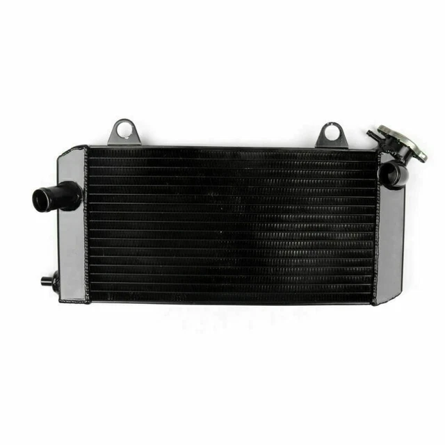Raffreddatore Protezione Griglia Radiatore per Yamaha XTZ1200 Super Tenere 2010-2015 EH