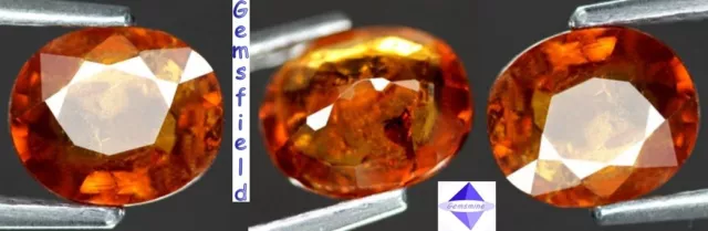 VVS - 1.56ct !!! SPESSARTITE de NAMIBIE 100% NATURELLE !!! poli AAA++ !!!