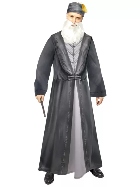 Adults Dumbledore Fancy Dress Hogwarts Wizard Costume Harry Potter Mens