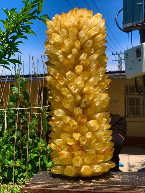 60.45LB  New Find yellow Phantom Quartz Crystal Cluster Mineral Specimen Healing 10