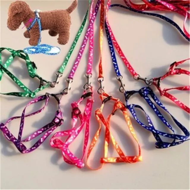 Small Pet Cat Puppy Kitten Rabbit Dog Harness Lead Leash Collar Same Day Post MN