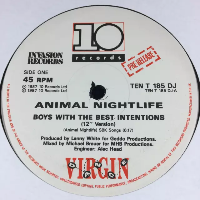 Animal Nightlife Boys With The Best Intentions 12'' Vinyl Virgin Tent185Dj Promo