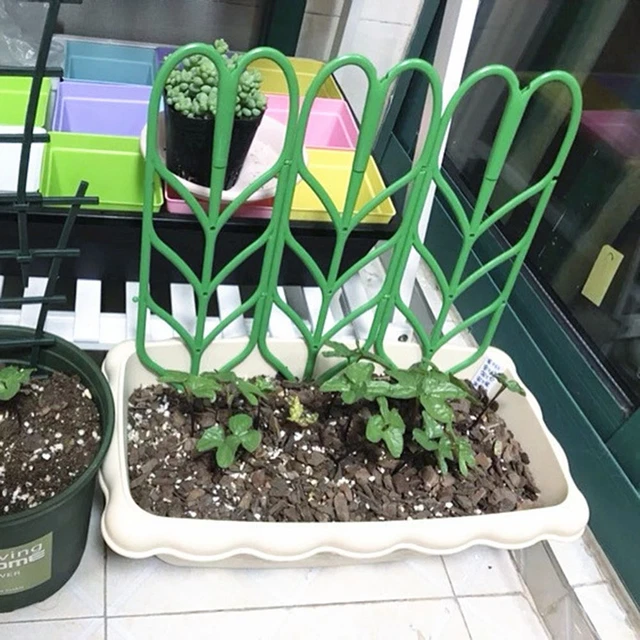 Cadre d'escalade Support d'escalade Support pour plantes Tige de fixation 3