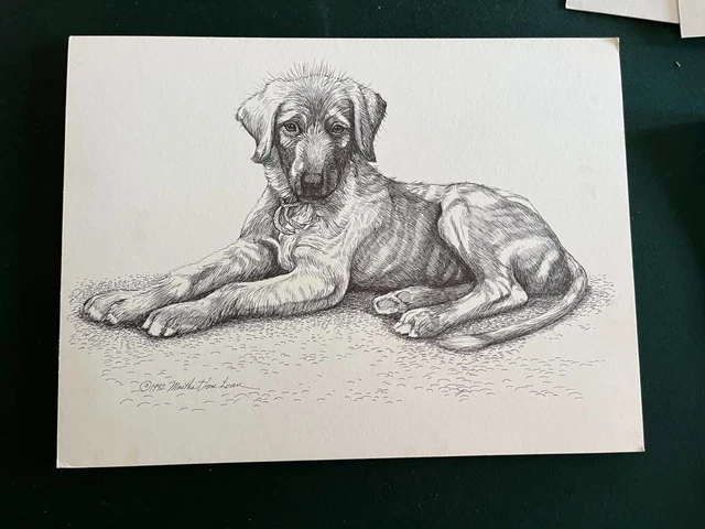 Scottish Deerhound Puppy Original Pen and Ink By Van Loan 1992