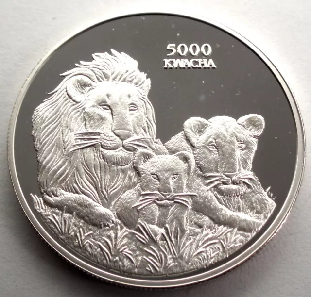 ZAMBIA 5000 KWACHA 1999 BU Silver Proof KM#157 Lions' pride & COA, Rare. B16 3