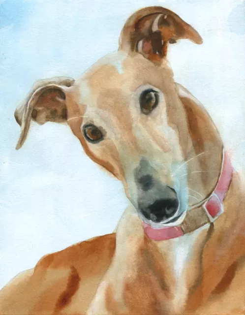 Giclee Print Greyhound Dog Watercolor Painting Art Grey Pet Portrait