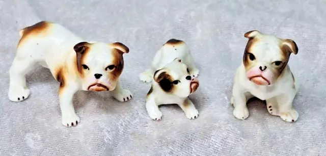 3 Bulldogs Ceramic Miniatures Dog Puppy Shadowbox Figure