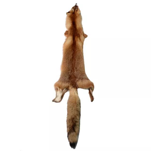 100% Red Fox Hide Pelts Tanned Fur Winter Heavy Fur High Quality Soft Animal Fur 100% Red Fox Hide Pelts Tanned Fur Winter Heavy Fur High Quality Soft Animal Fur