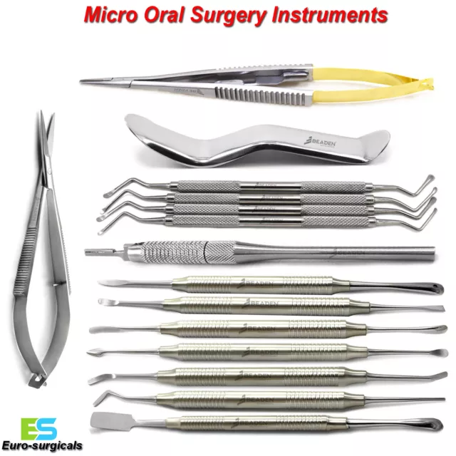 Micro Oral Surgery Periosteal Elevators Dental Periodontal Lucas Curettes Kit CE