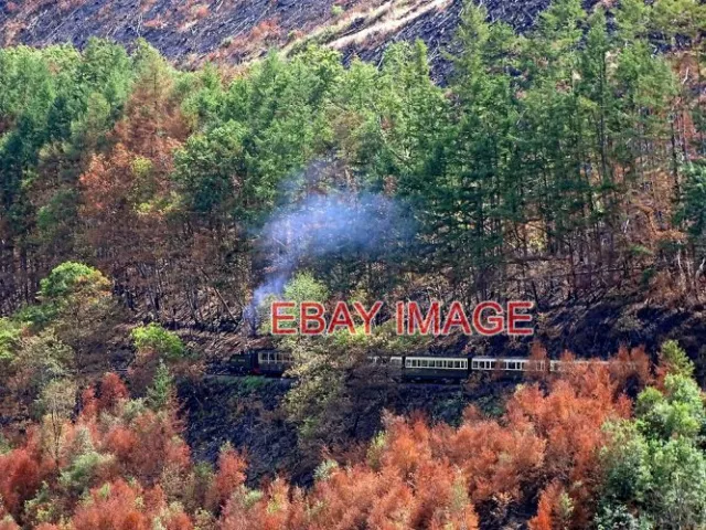 Photo  No.8 Approaching Rheidol Falls Station Evidence Of The Recent Forest Fire