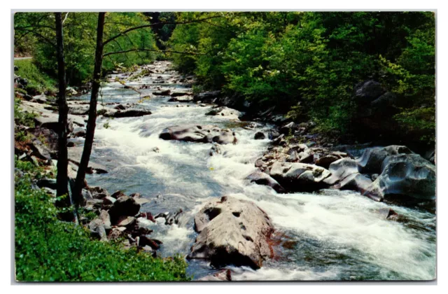 1950s - View Little River - Great Smoky Mountains, Tennessee Postcard (UnPosted)