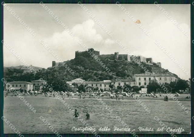 Grosseto Castiglione della Pescaia MACCHIA Foto FG cartolina KV7955