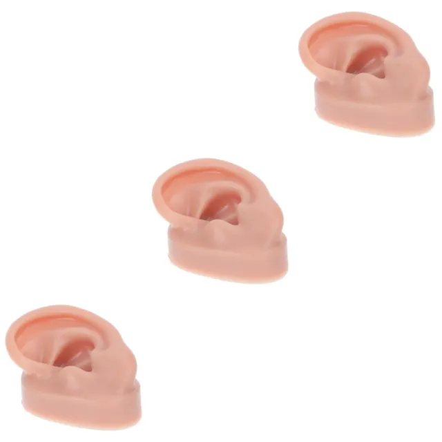3 Pcs Menschliches Ohrmodell Gummi-Ohr-Modell Massage Werkzeug