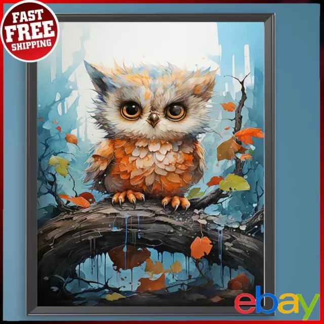 Paint By Numbers Kit On Canvas DIY Oil Art Owl Picture Home Wall Decor 40x50cm ✅