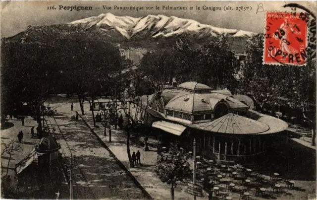 CPA PERPIGNAN Vue Panoramique sur le Palmarium et le Canigou (680784)