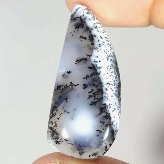 32.80Cts Natural Dendrite Opal Fancy Cabochon Loose Gemstones