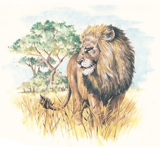Calcomanía de cerámica tobogán acuático Lion African Landscape 1 pieza 6-1/2"" X 6""