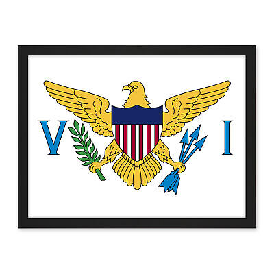 Póster de país con bandera nacional de las Islas Vírgenes (EE. UU.) estampado artístico en pared 18X24