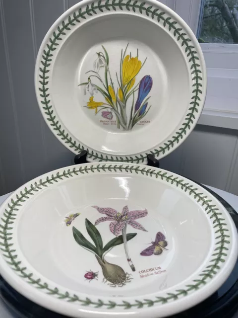 portmeirion botanic garden Rimmed Soup bowls X 2. Read Description