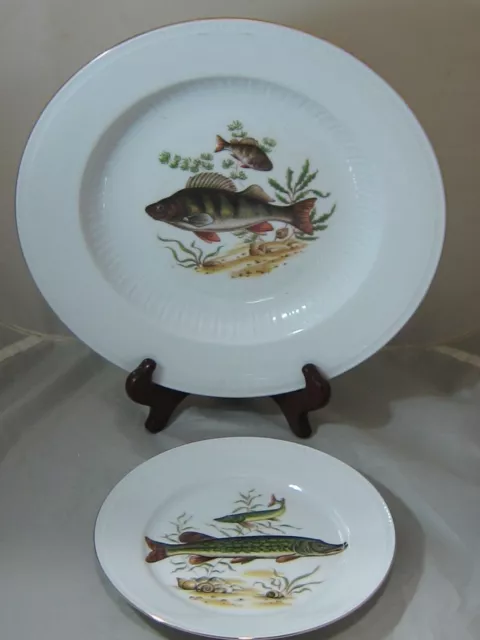 Bareuther Waldsassen Fish Serving Bowl Dish Platter Salad Plate Bavaria Germany