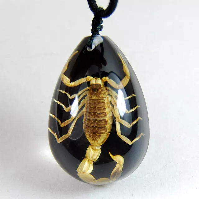 New Real Black Golden Scorpion Lucite Necklace Pendant Insect Jewelry Taxidermy