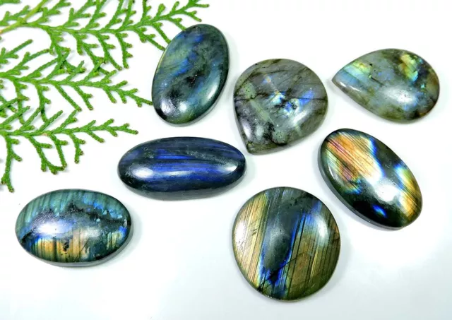 Natural Labradorite Multi Fire 07 Pcs Mix  Cabochon Loose Gemstone 33-39MM