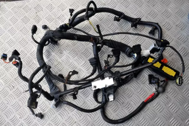 Land Rover Freelander 1 2.5V6 / KV6 complete engine harness / wiring loom 2.5 V6