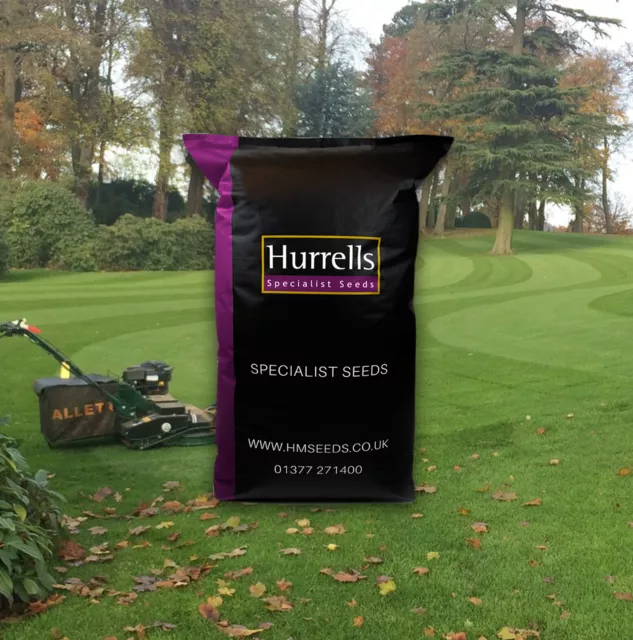 5kg - HM.5 Shade Lawn Grass Seed by Hurrells Seeds (Covers 140m2)