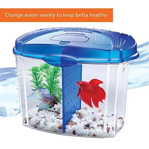 Aqueon Betta Bowl Kit Blue .5 Gallon
