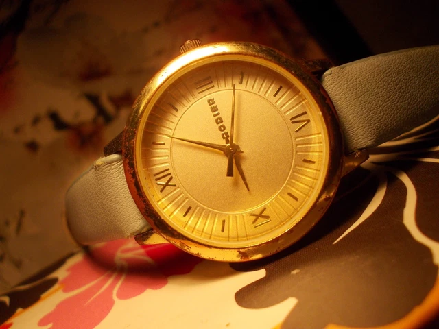 Montre Pirofa Femme Vintage à Quartz - Boîtier Acier 26mm, Bracelet Acier, Pile Incluse