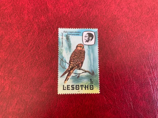 Lesotho 1981 Mnh Birds Of Prey Kestrel Maggiore