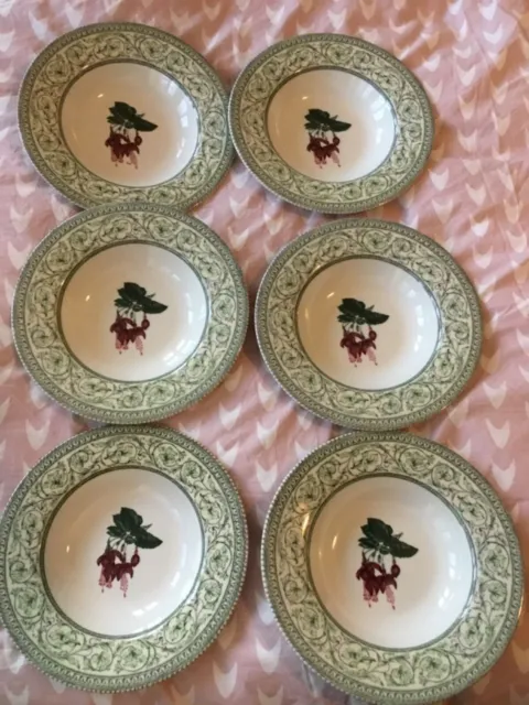 6 Royal Horticultural Society Applebee Collection Rimmed Soup/PuddingBowls 8.75”